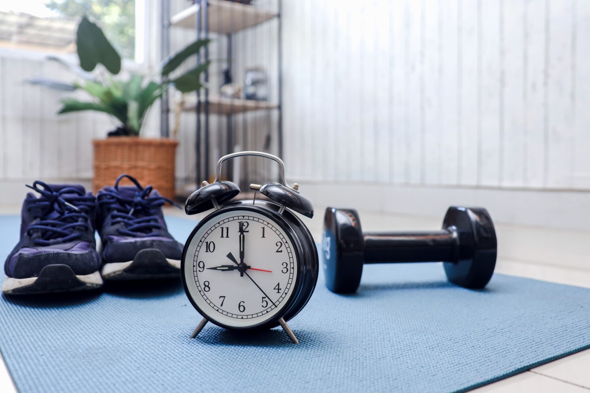 horário do treino fifty fight blog itens de treino e relógio